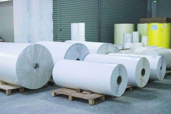 Étiquettes en rouleau BOPP transparentes Matériaux adhésifs acryliques résistants aux rayures