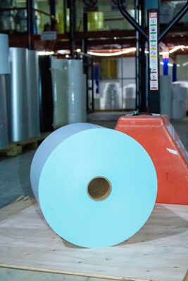 Résistant à la chaleur auto-adhésif en papier à rouleaux thermiques certifié SGS
