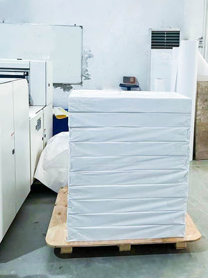 L'adhésif BOPP transparent Jumbo Roll à l'épreuve des produits chimiques double face mate