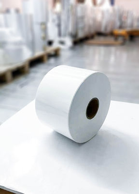 Étiquettes en rouleau de papier auto-adhésif imperméable à l'eau revêtement de surface en PET opal
