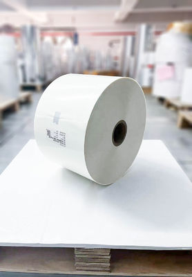 Ruloir de papier revêtu en PE transparent étanche à l'eau épaisseur de papier 62 g verre