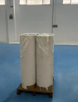 Approbation SGS Rouleaux de papier thermique personnalisés résistants aux produits chimiques pour l'écriture