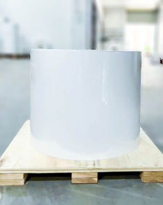 Bon prix Étiquette de rouleau BOPP claire et collante, adhésif à l' huile, papier kraft en ligne